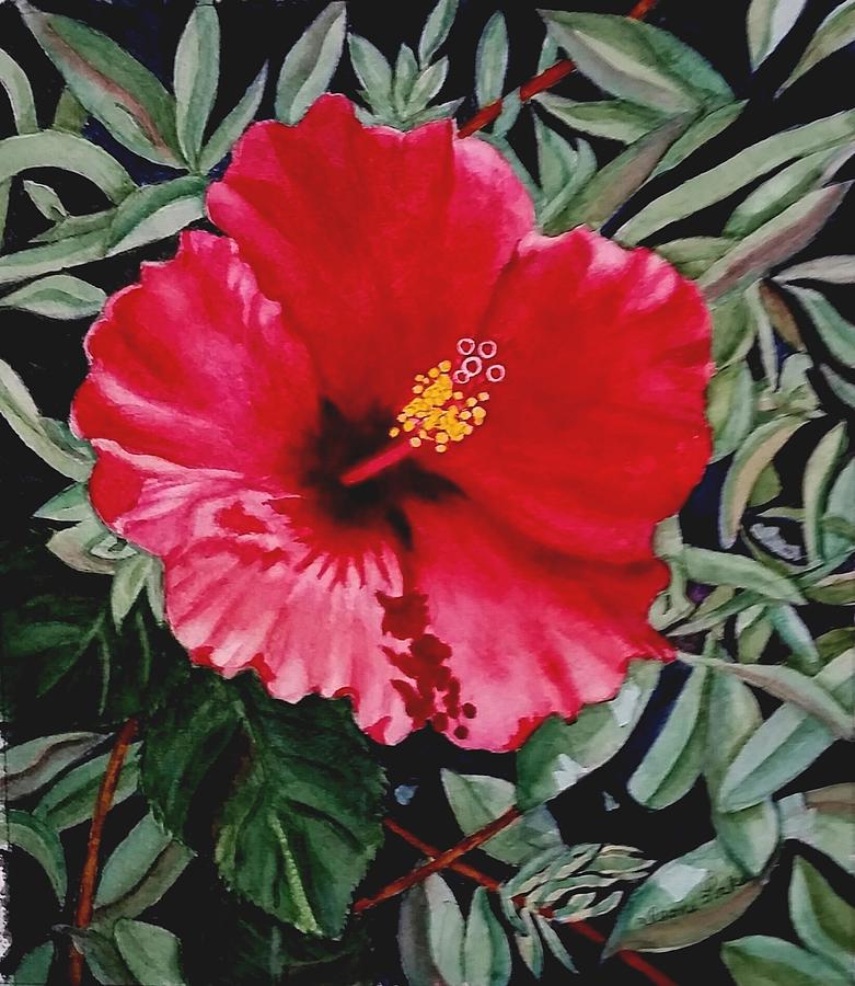 Flower Painting - Red Hybiscus by Deane Locke