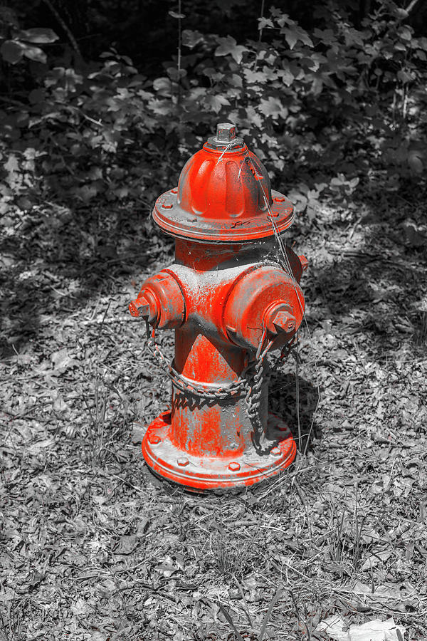 Red Hydrant in selective color Photograph by Doug Camara