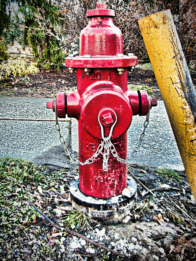 Red Hydrant Photograph