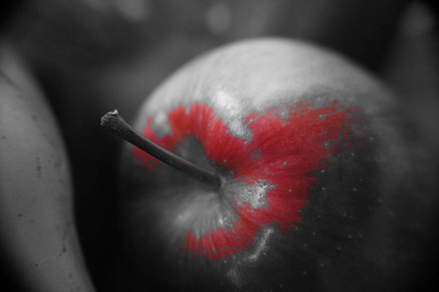 Red in apple. Photograph by Elena Perelman
