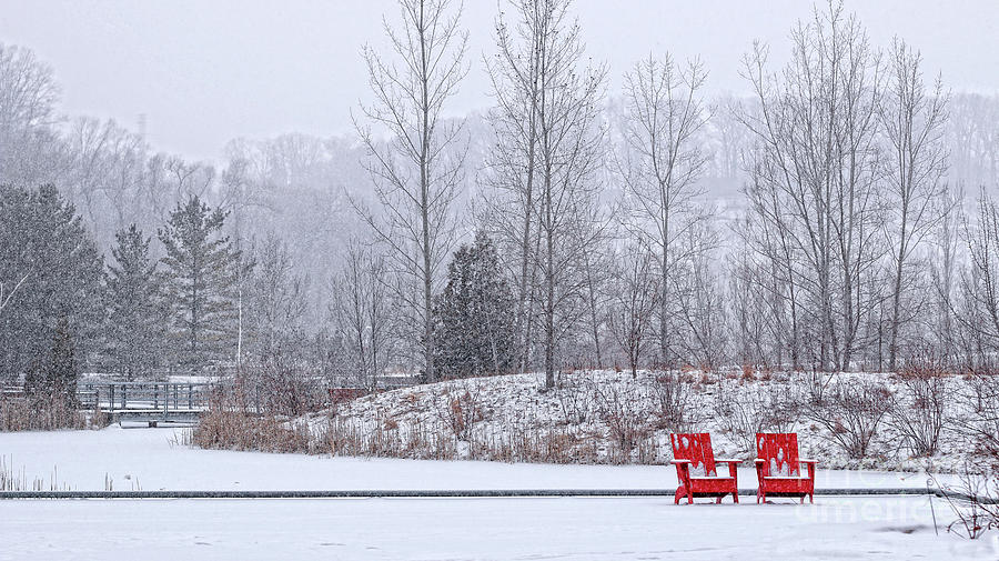 Red in Snow Photograph by Charline Xia