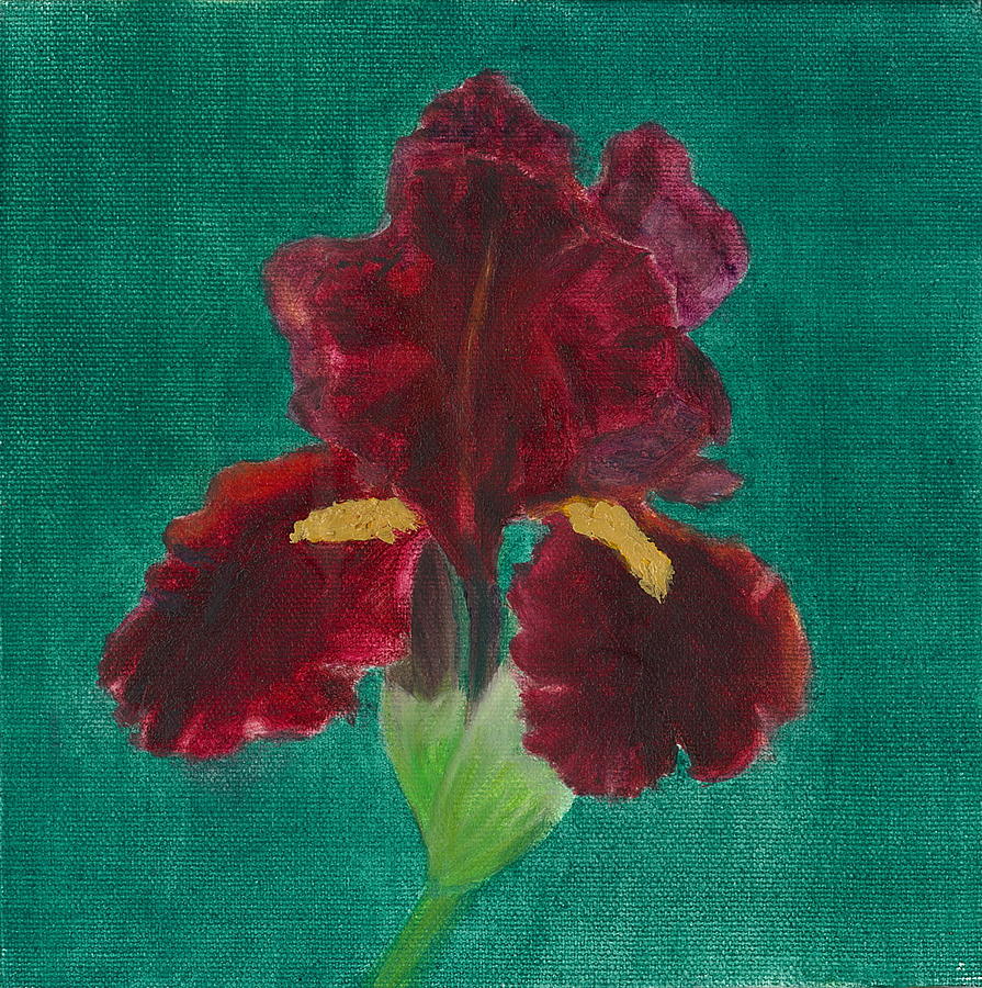 Red Iris Painting by Paula Emery