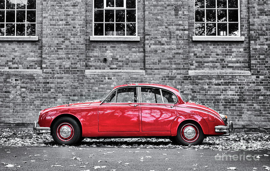 Red Jag Photograph by Tim Gainey