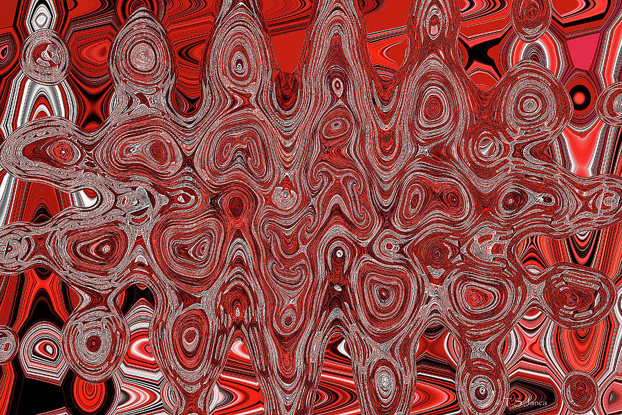 Red Janca Abstract #8602ww1 Digital Art by Tom Janca