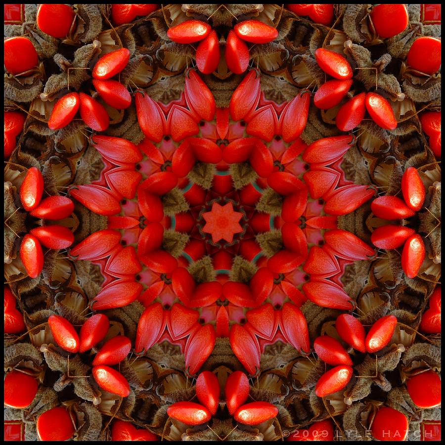 Red Kaleidoscope No. 1 Digital Art by Lyle Hatch