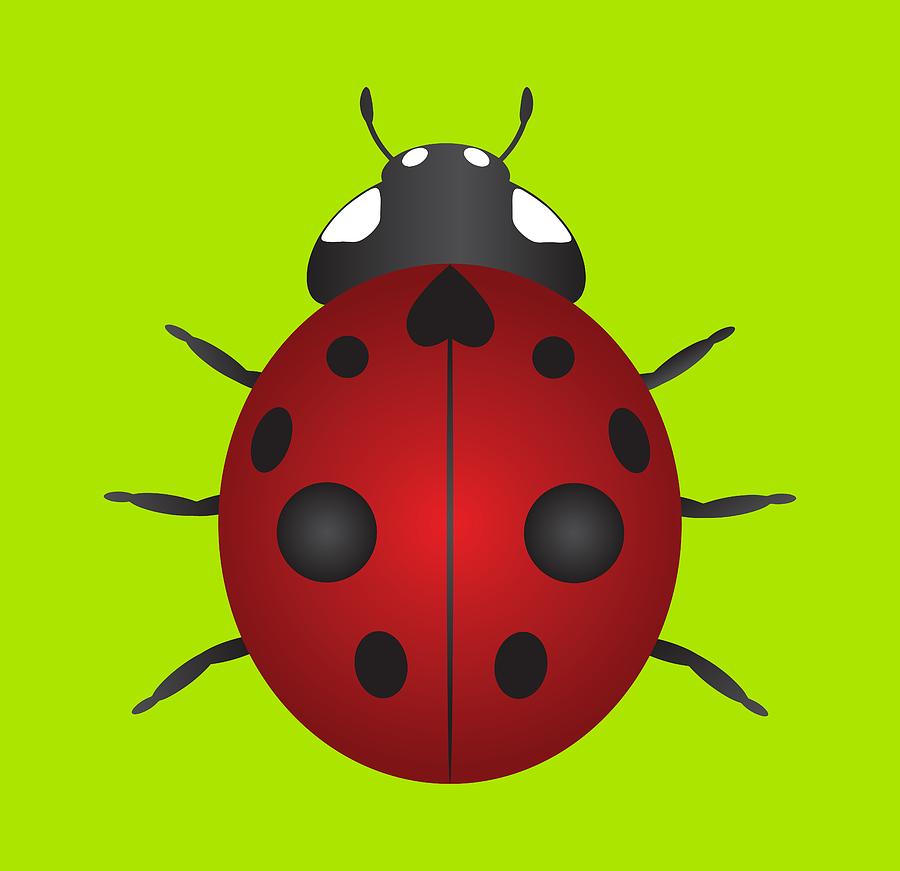 Red Ladybug Color Illustration Photograph by Jit Lim