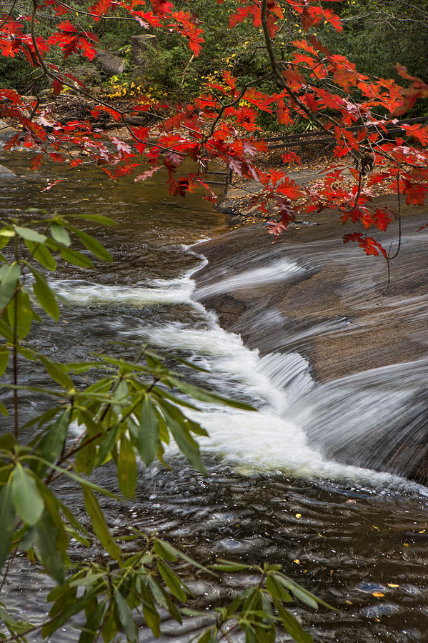 Red Leaf Falls Photograph by Ken Barrett