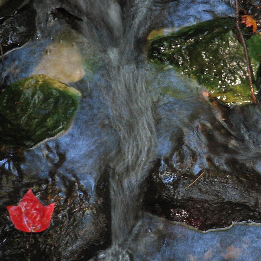 Fall Photograph - Red Leaf in Brook by Laurianne Nash
