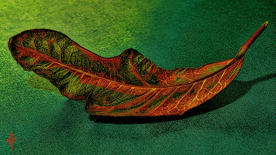 Red Leaf Digital Art by Syed Muhammad Munir ul Haq