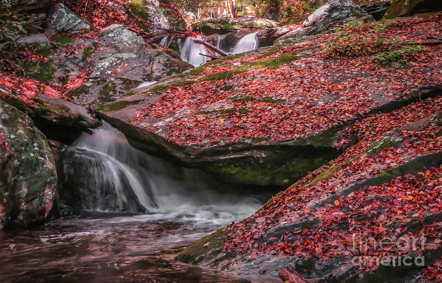 Red Leaf Waterfall Photograph by Tom Claud