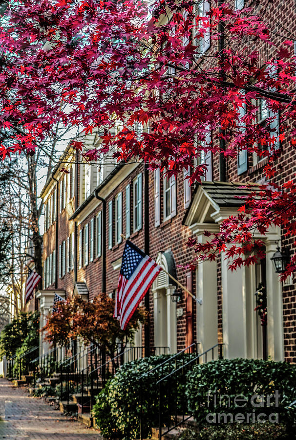 Red Leaves and American Flag, Gaithersburg Maryland Photograph by Thomas Marchessault