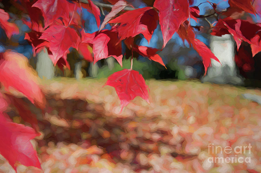 Red Leaves Digital Art by Ed Taylor