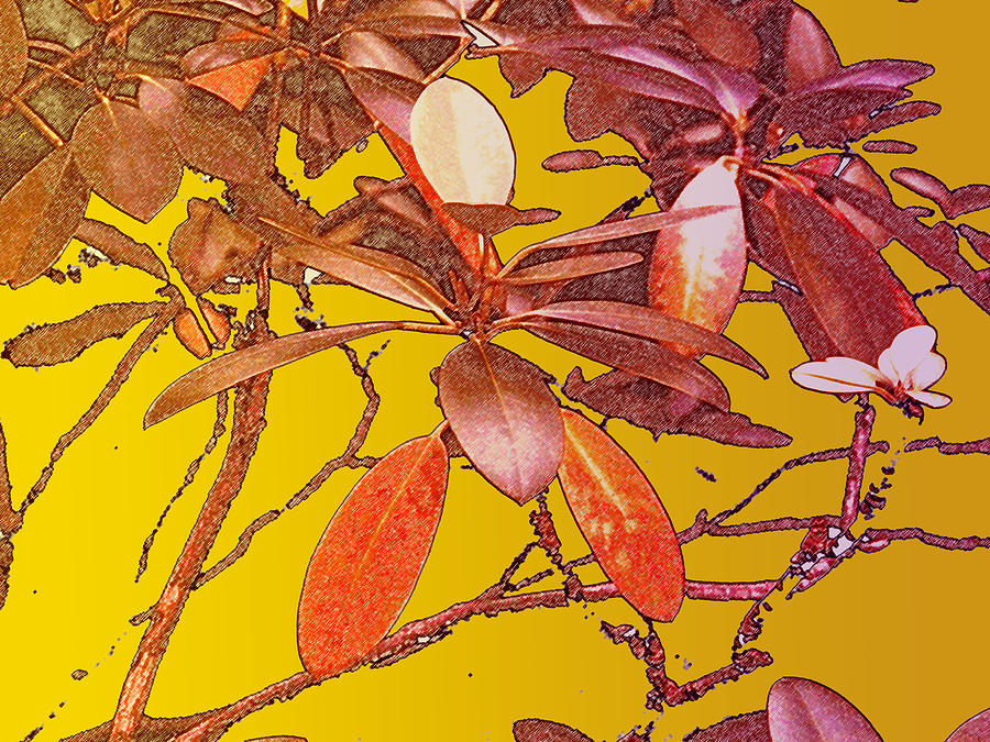 Sunset Photograph - Red Leaves Gold Sunset by Ian  MacDonald