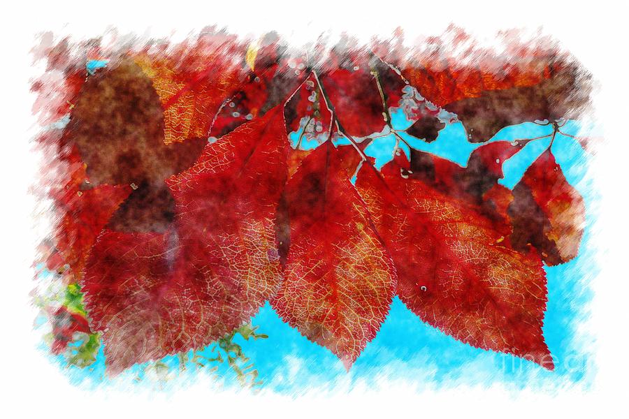 Red Leaves Photograph by Jean Bernard Roussilhe