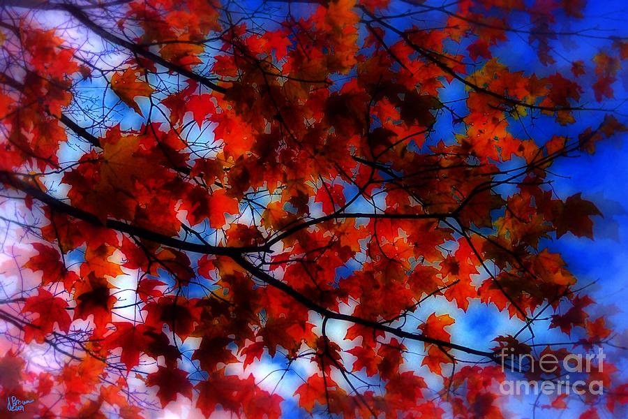 Red Leaves Photograph by Jeff Breiman