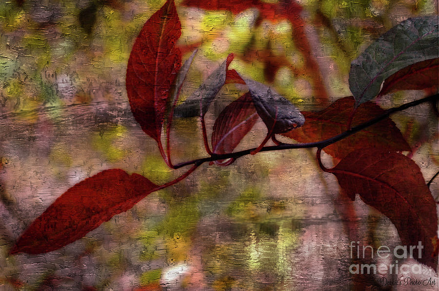 Red Leaves Painted effect Photograph by Debbie Portwood