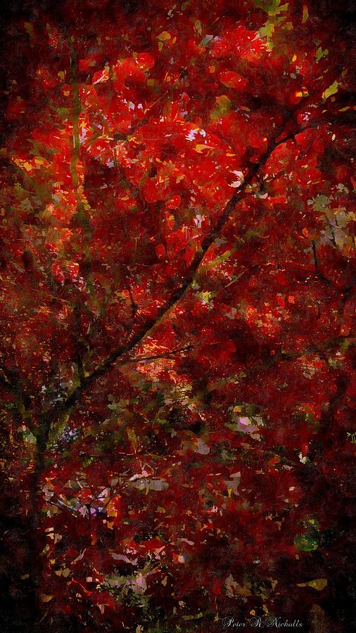 Red Leaves Digital Art by Peter R Nicholls