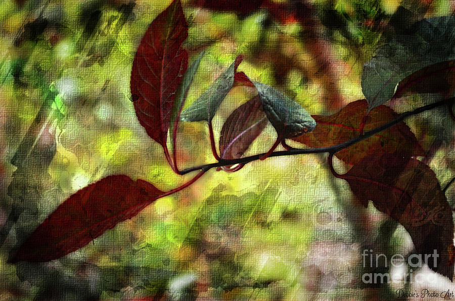 Red Leaves with texture Photograph by Debbie Portwood