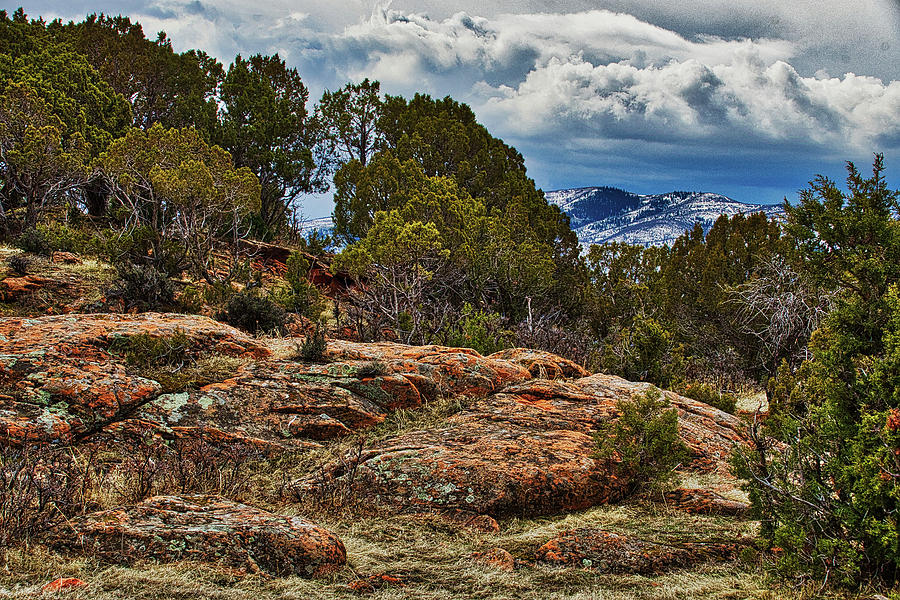 Red Ledge Photograph by Ed Ostrander