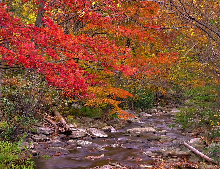 Red Light - Yellow Light - Green Light - Catoctin Mountain Park Big Hunting Creek - Maryland Photograph by Michael Mazaika
