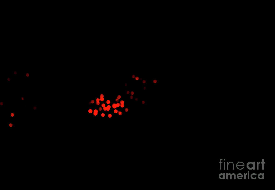 Red Lights and Nothingness by Camille Pascoe Red Lights and Nothingness by Camille Pascoe