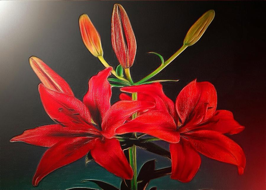 Lily Digital Art - Red Lilies by Charmaine Zoe