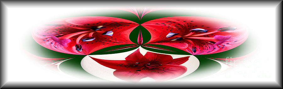 Red Lilies Framed Photograph