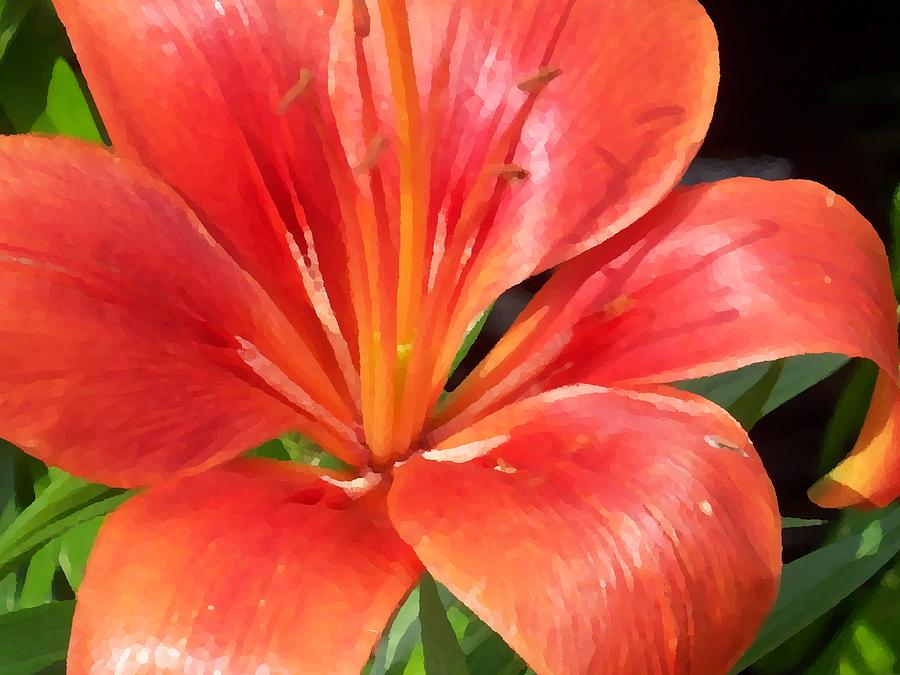 Lilly Digital Art - Red Lilly by Ellen B Pate Lilly Digital Art - Red Lilly by Ellen B Pate