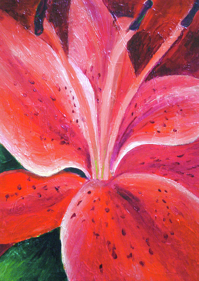 Red Lily Painting by Alex Florschutz