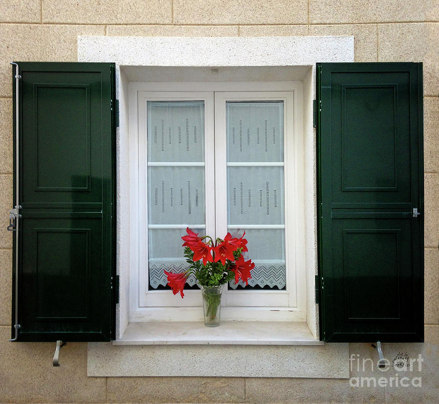 Red Lily Vase Window Dressing Menorca Photograph by Dee Flouton