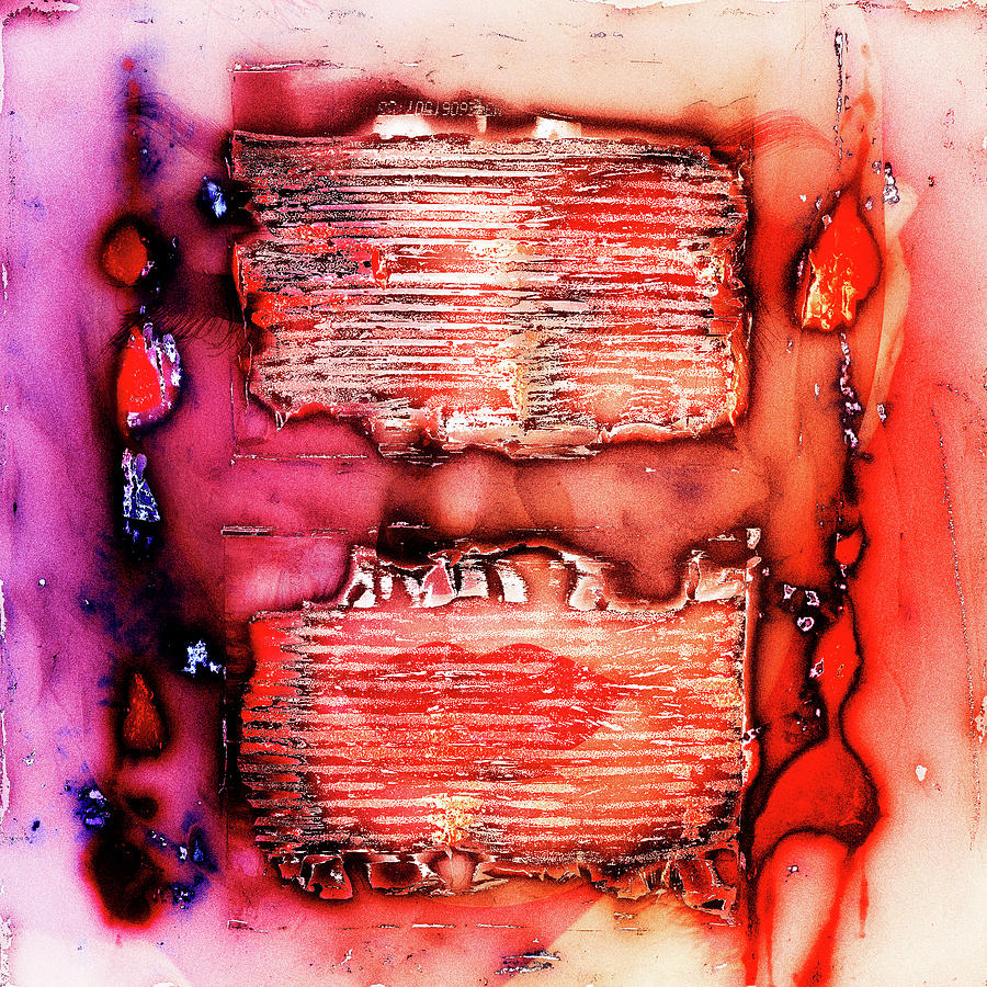 Red lips behind metal stripes Photograph by Gabi Hampe