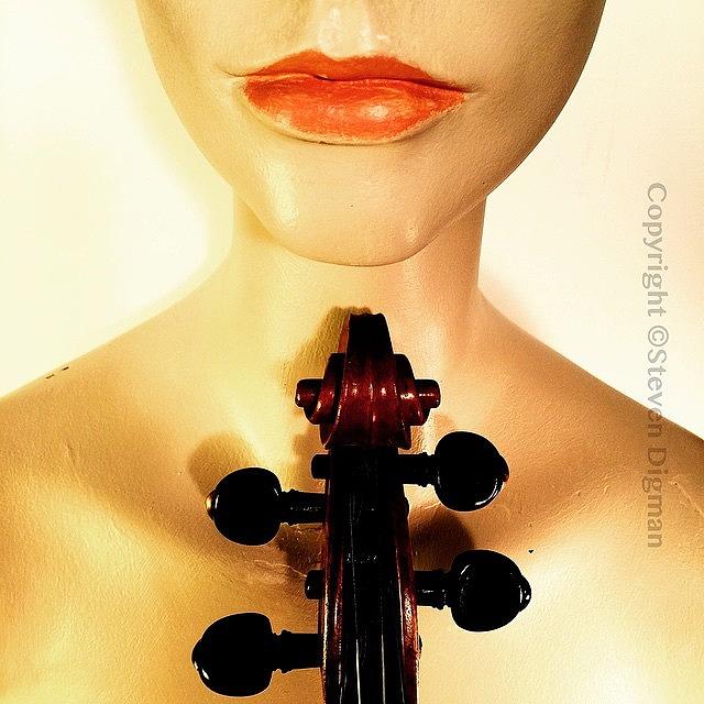 Violin Photograph - Red Lips  by Steven Digman