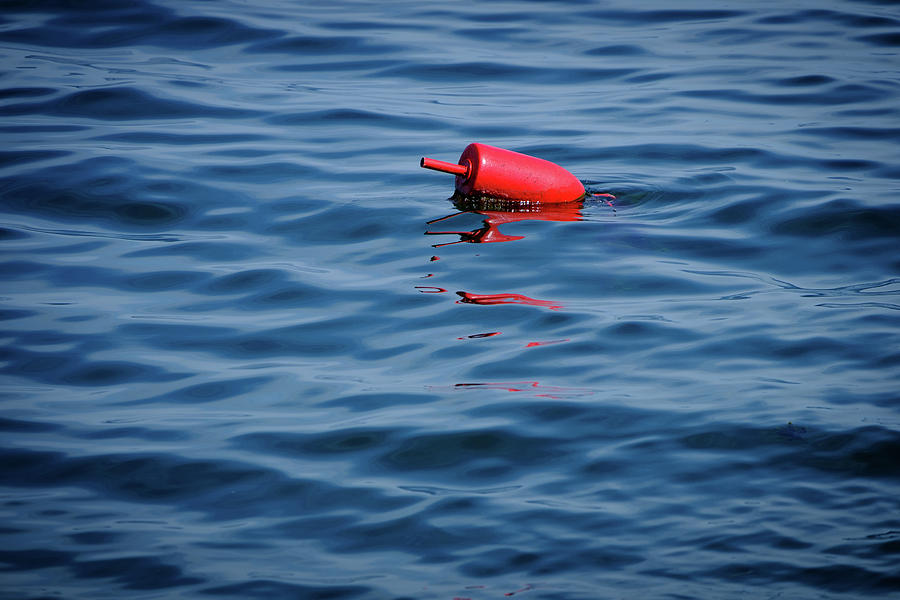 Red Lobster Buoy Photograph by Rick Berk - Pixels