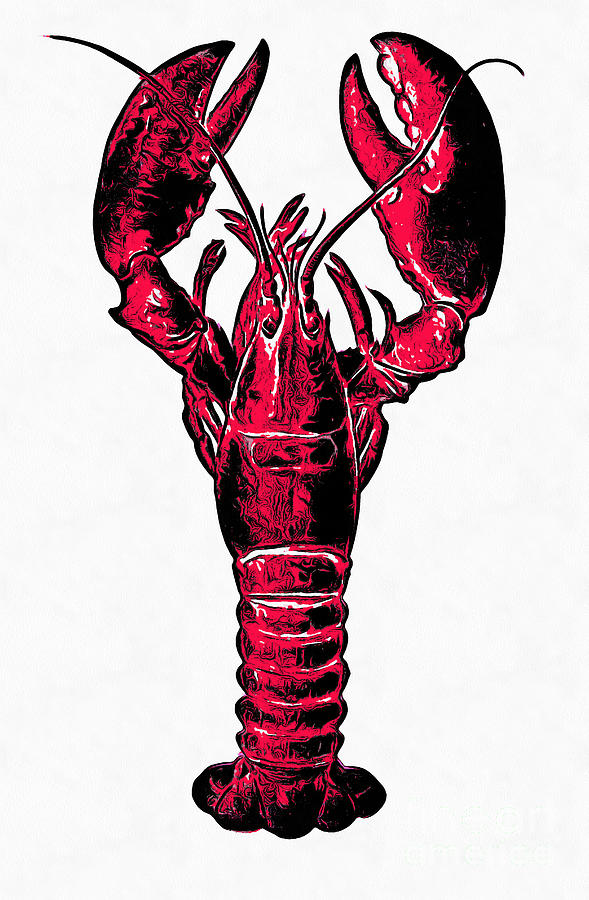 Red Lobster Drawing by Edward Fielding