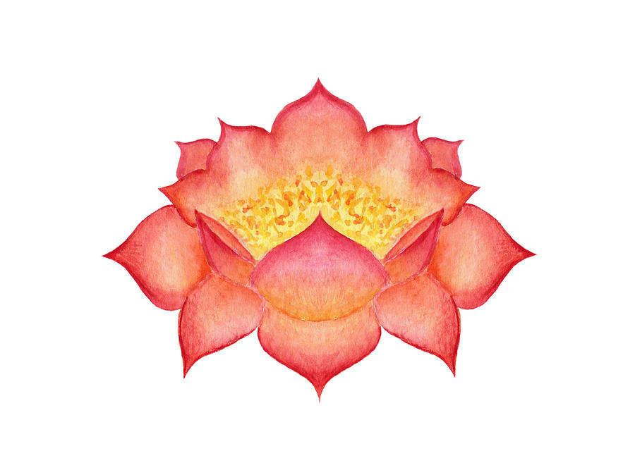Red Lotus by Elizabeth Lock Red Lotus by Elizabeth Lock
