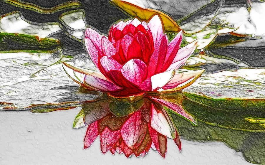 Red Lotus Flower Painting by Jeelan Clark
