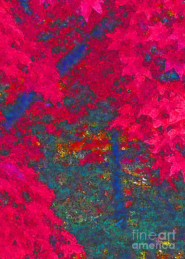 Red Maple 1 version 1 Photograph by Melissa A Benson