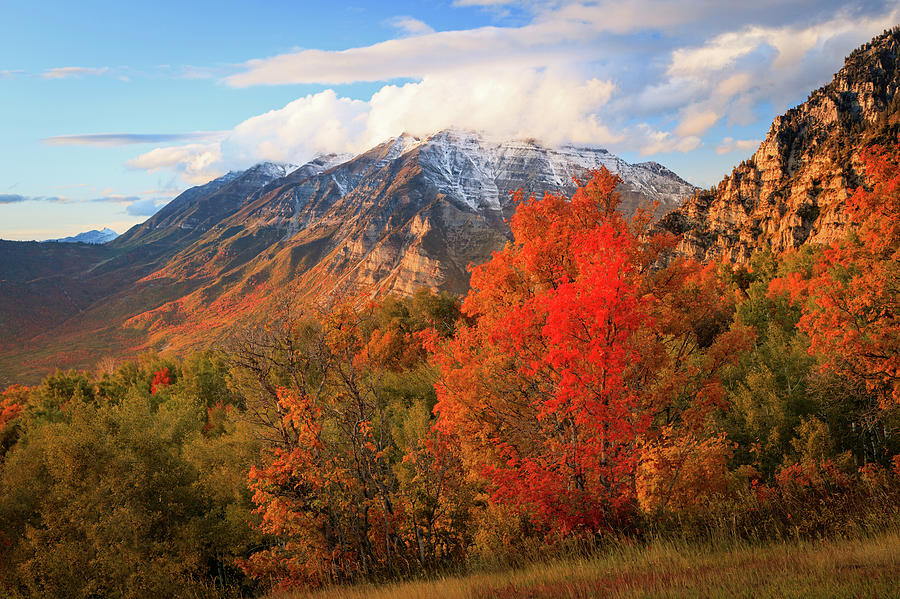 Mountain Photograph - Red Maple with Timp by Wasatch Light