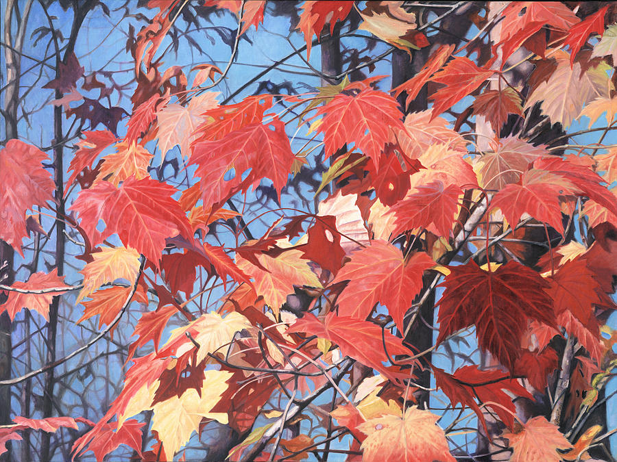 Fall Painting - Red Maples by - Harlan