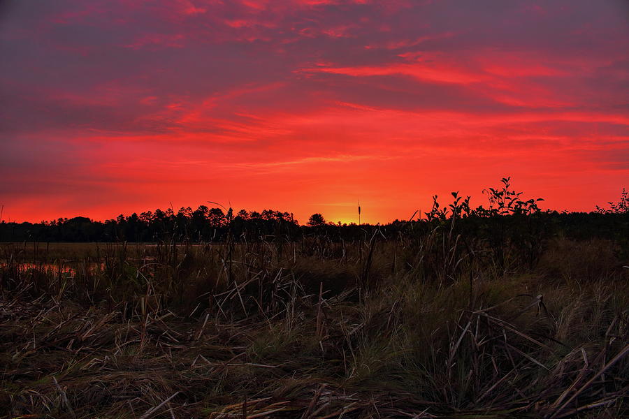 Red Marsh Sunrise Photograph by Dale Kauzlaric