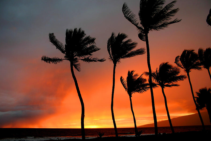 Sunset Photograph - Red Maui sunset Hawaii by Pierre Leclerc Photography