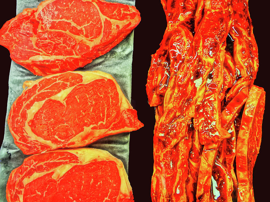 Fantasy Photograph - Red Meats 2 by Bruce IORIO