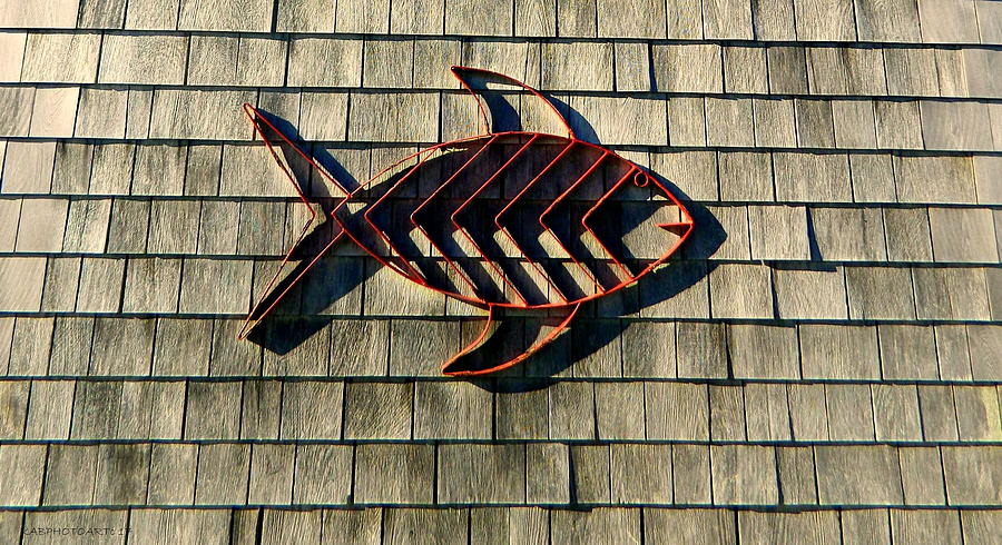 Red Metal Fish Photograph by Kathy Barney