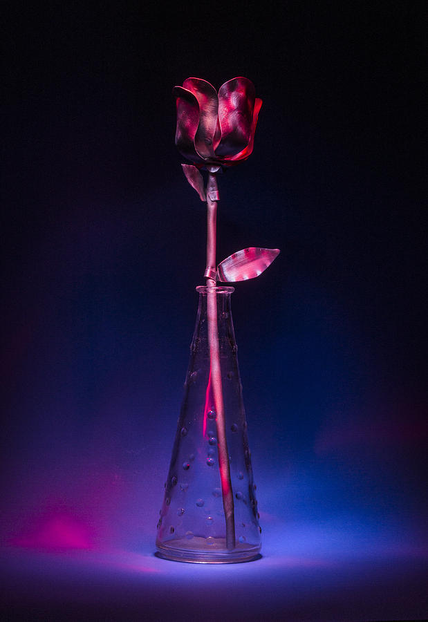 Red Metal Rose Photograph by Laura Pratt