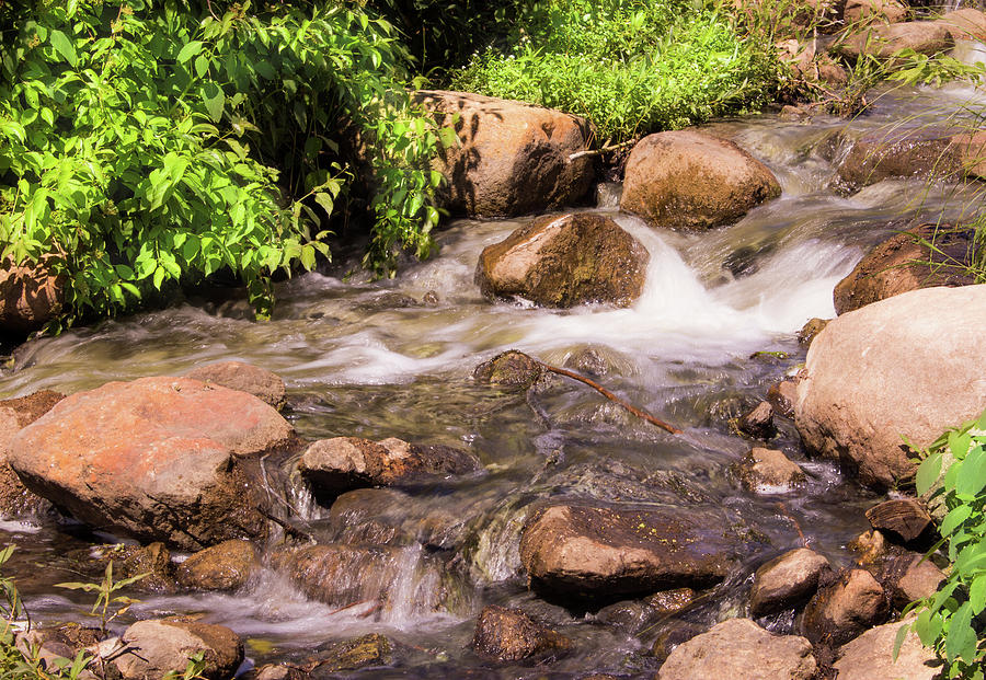 Red Mill County Park Waterfall III Photograph by Lori Lynn Sadelack ...