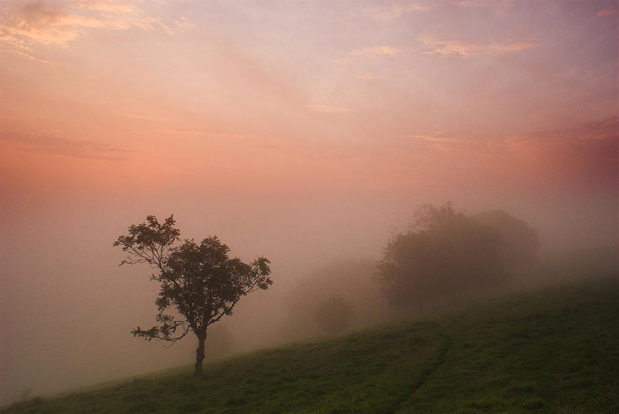 Red Mist on the South Downs Photograph by Hazy Apple
