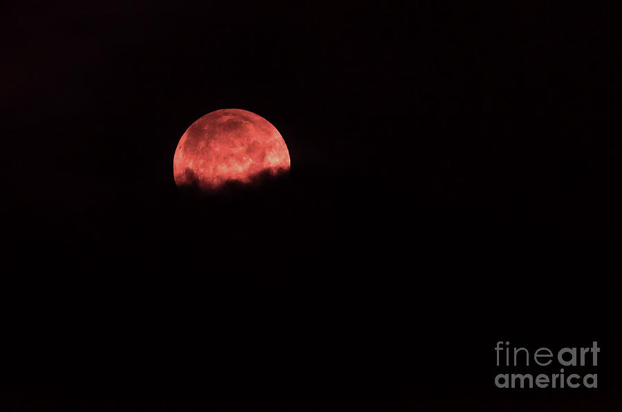 Red Moon Above The Clouds Photograph by Les Palenik