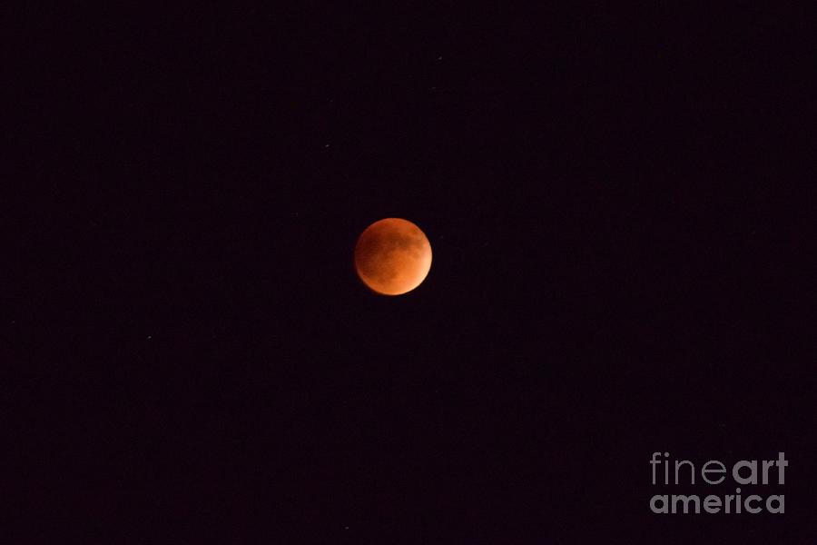 Blood Moon black sky Photograph by Daniel Shearer - Fine Art America