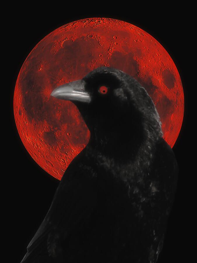 God følelse jeg er glad Skriv email Red Moon Black Crow Digital Art by Gothicrow Images - Pixels