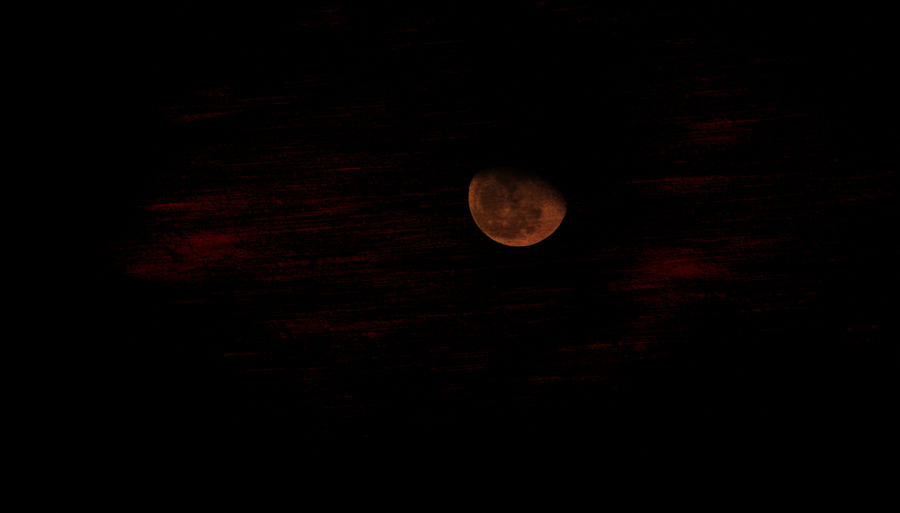 Red Moon Photograph by Inspired Arts